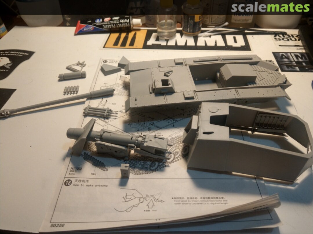 View album, image #1