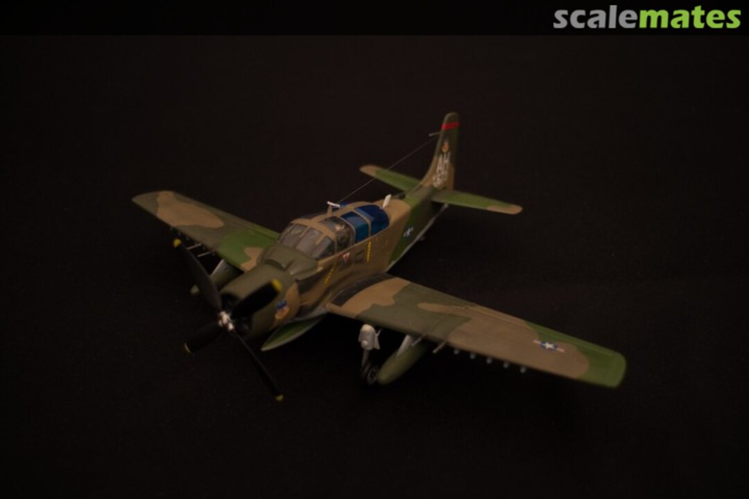 View album, image #1