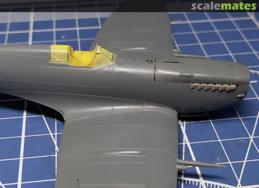 View album, image #1