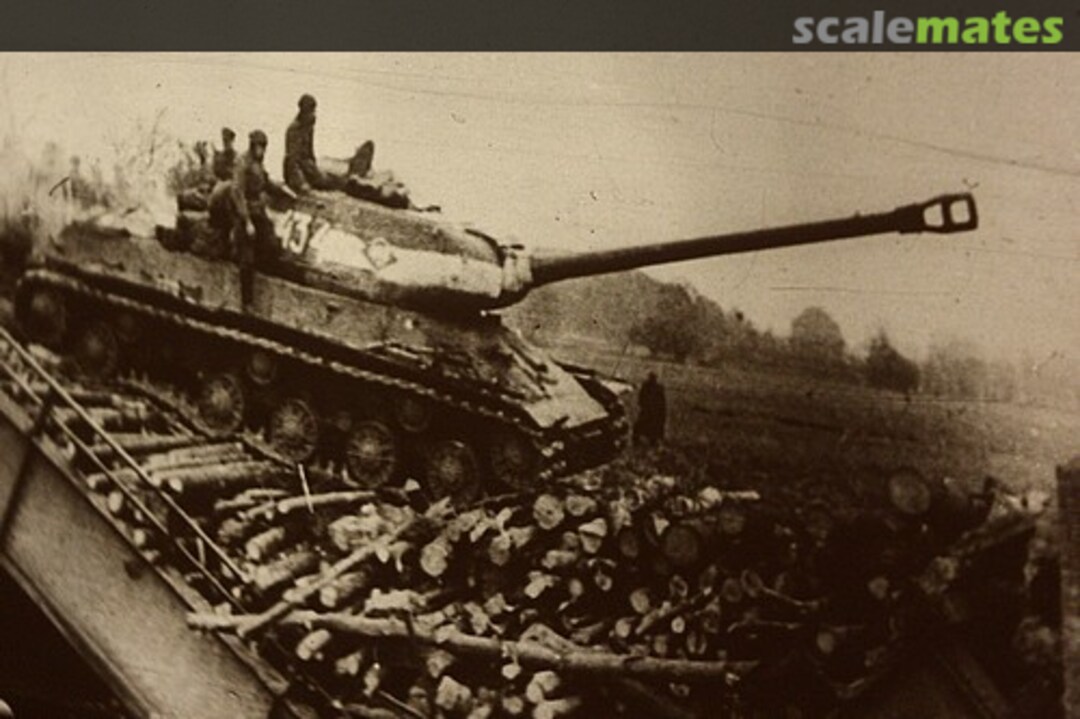 View album, image #1 View album, image #1