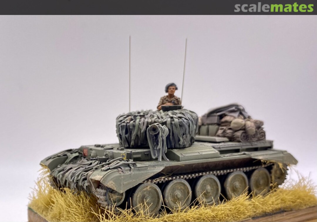 View album, image #13 View album, image #13