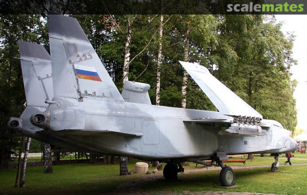 View album, image #1 View album, image #1