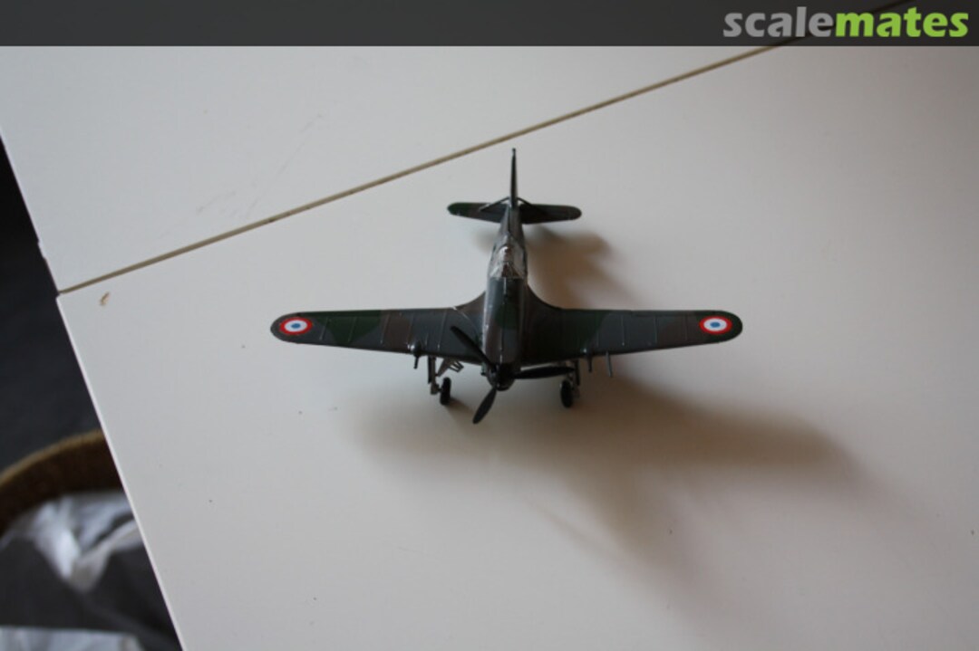 View album, image #1 View album, image #1