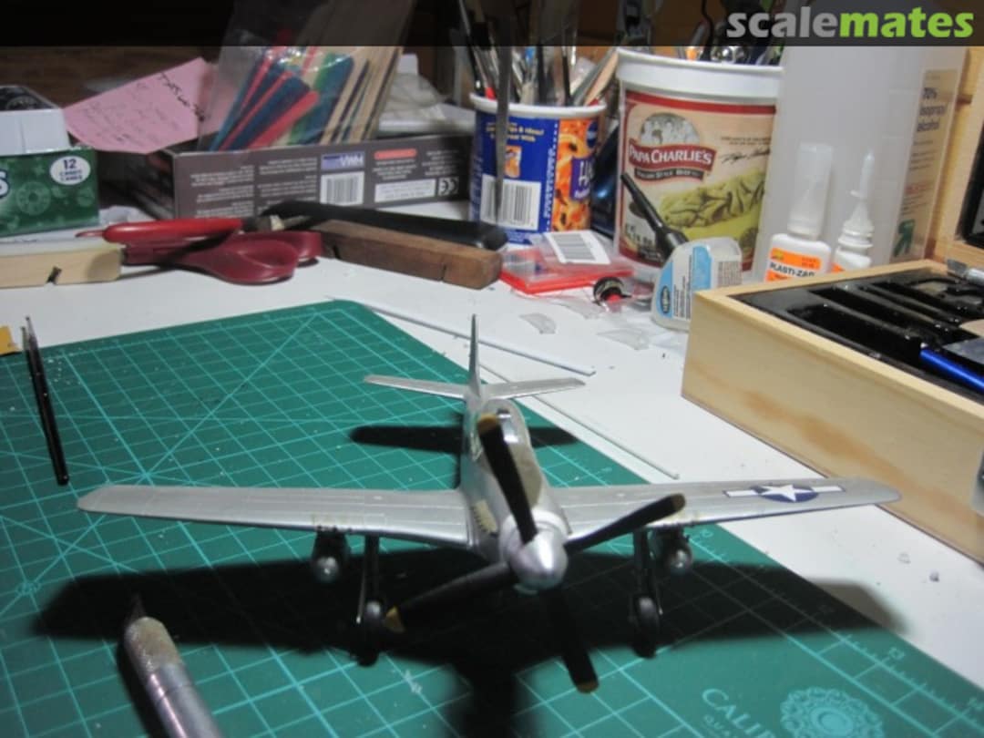 View album, image #1