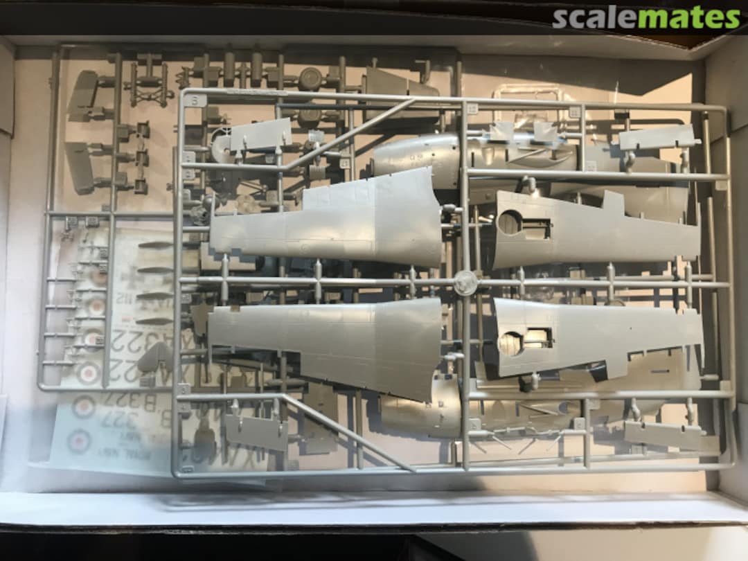 View album, image #1