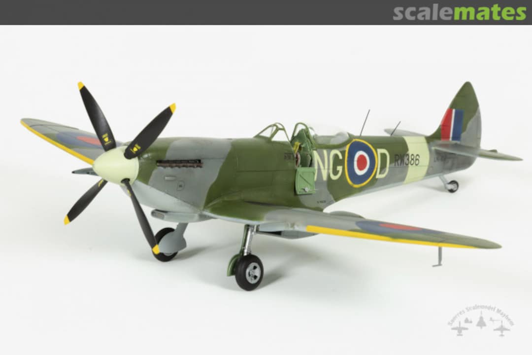 View album, image #1 View album, image #1