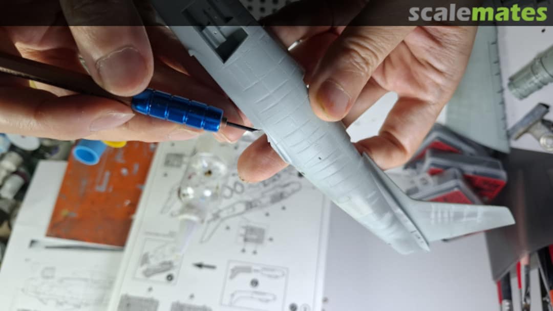 View album, image #1