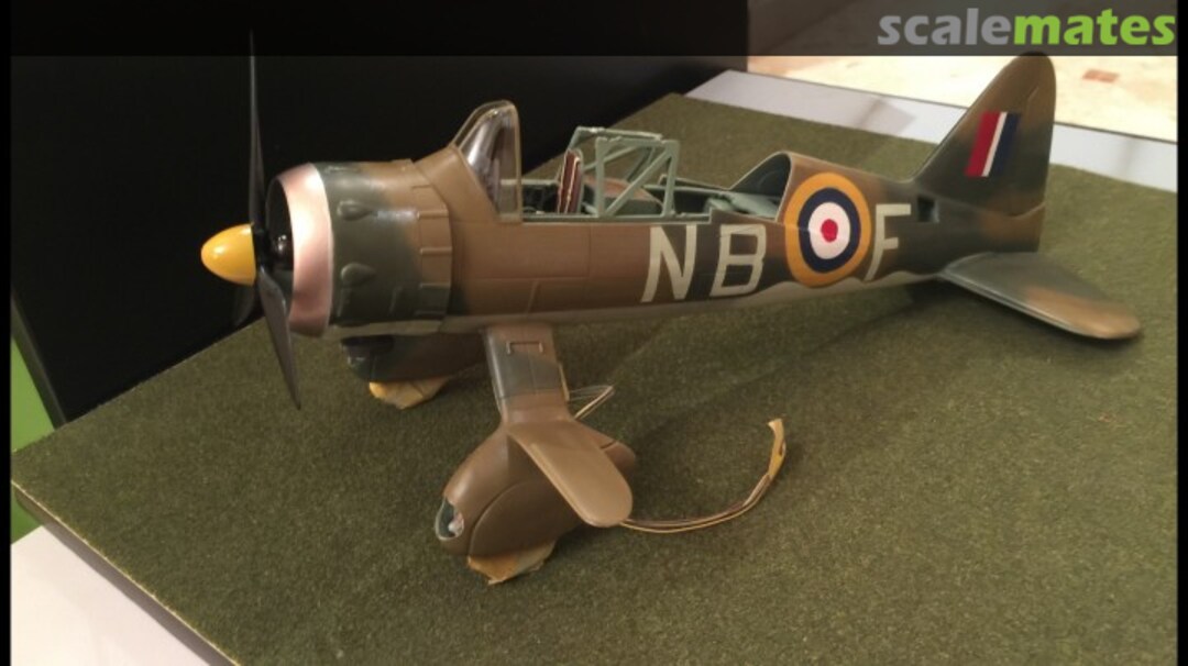 View album, image #1 View album, image #1