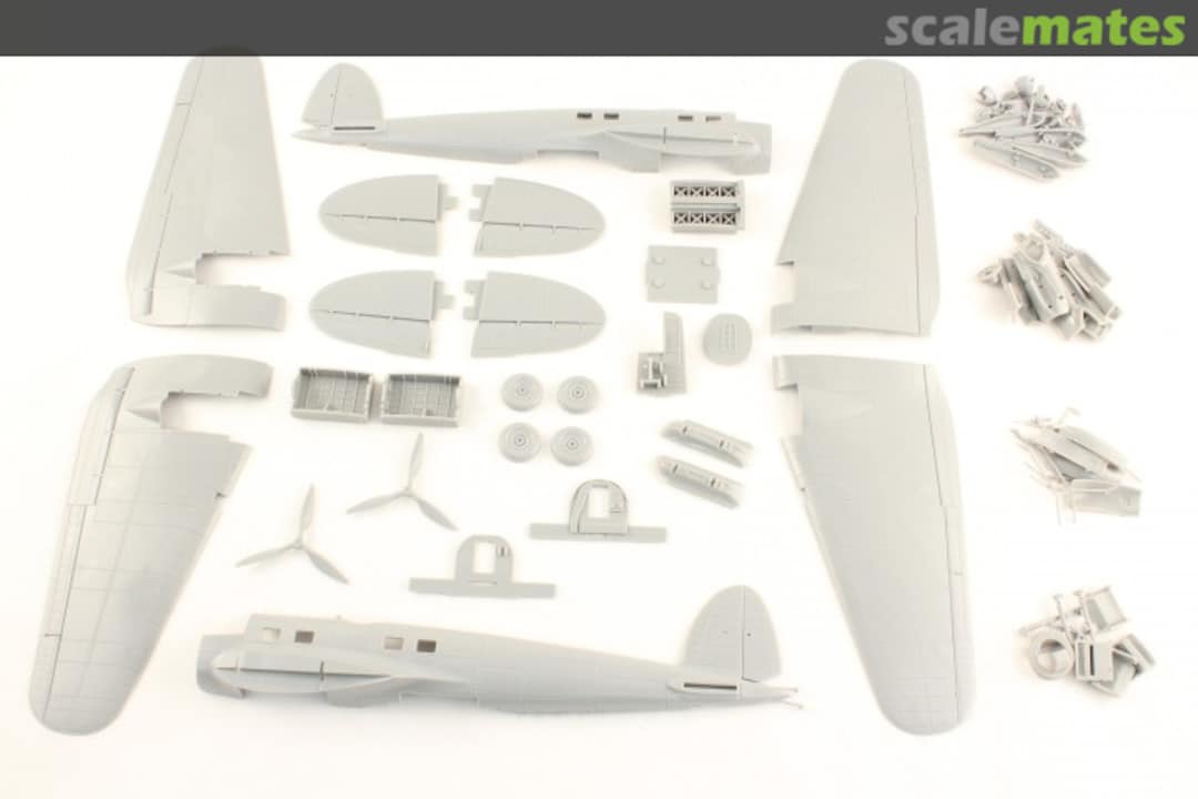 View album, image #1