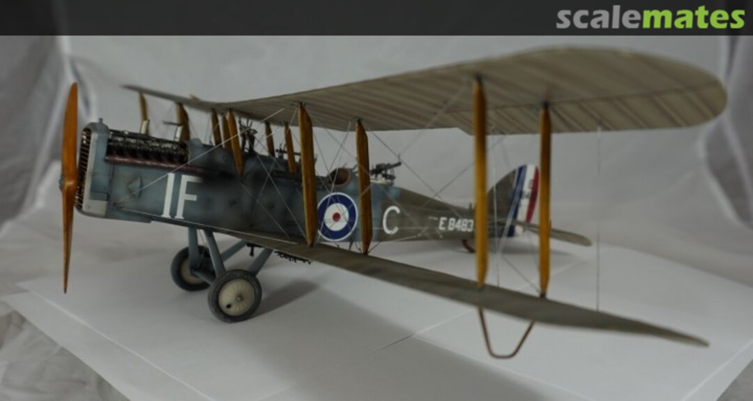 View album, image #1 View album, image #1