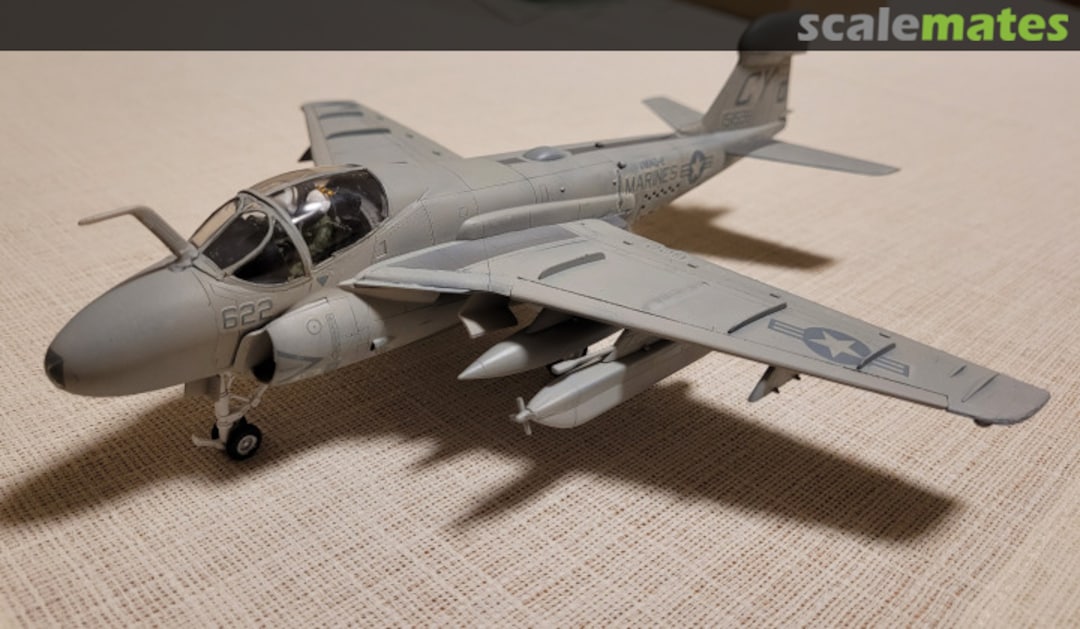 View album, image #1 View album, image #1