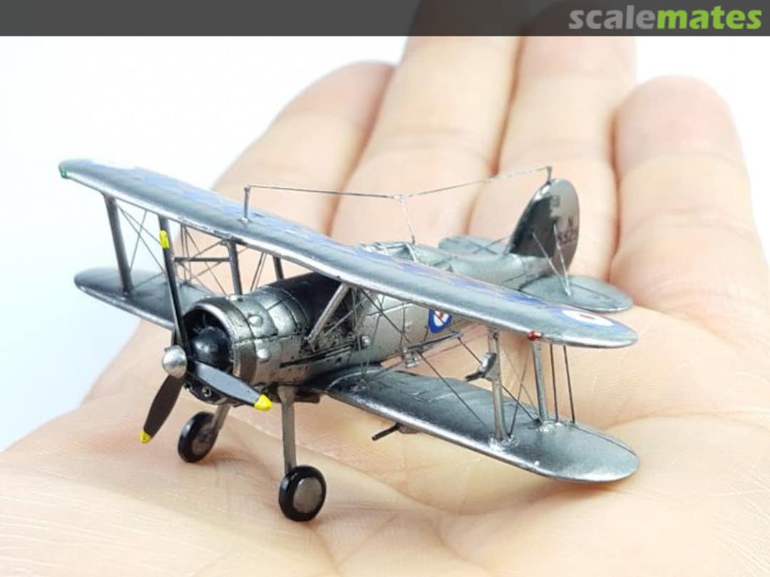 View album, image #41 View album, image #41