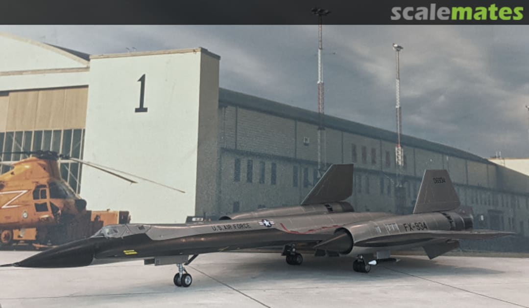 View album, image #4 View album, image #4