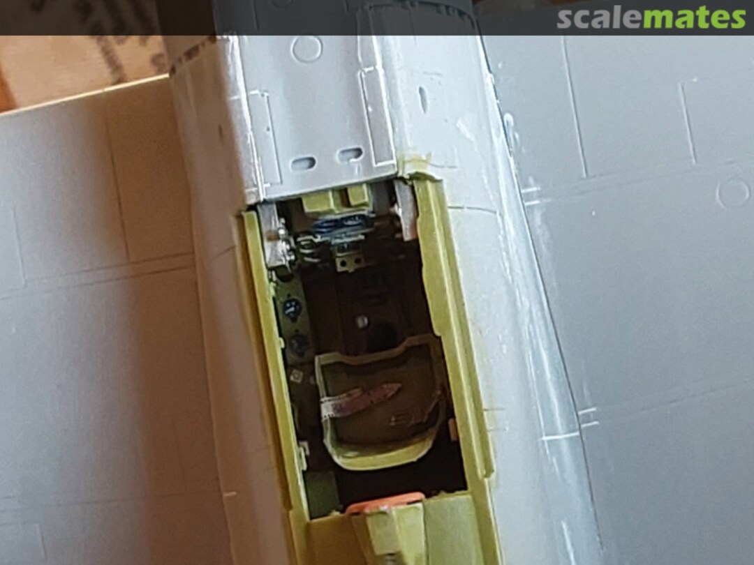 View album, image #1 View album, image #1