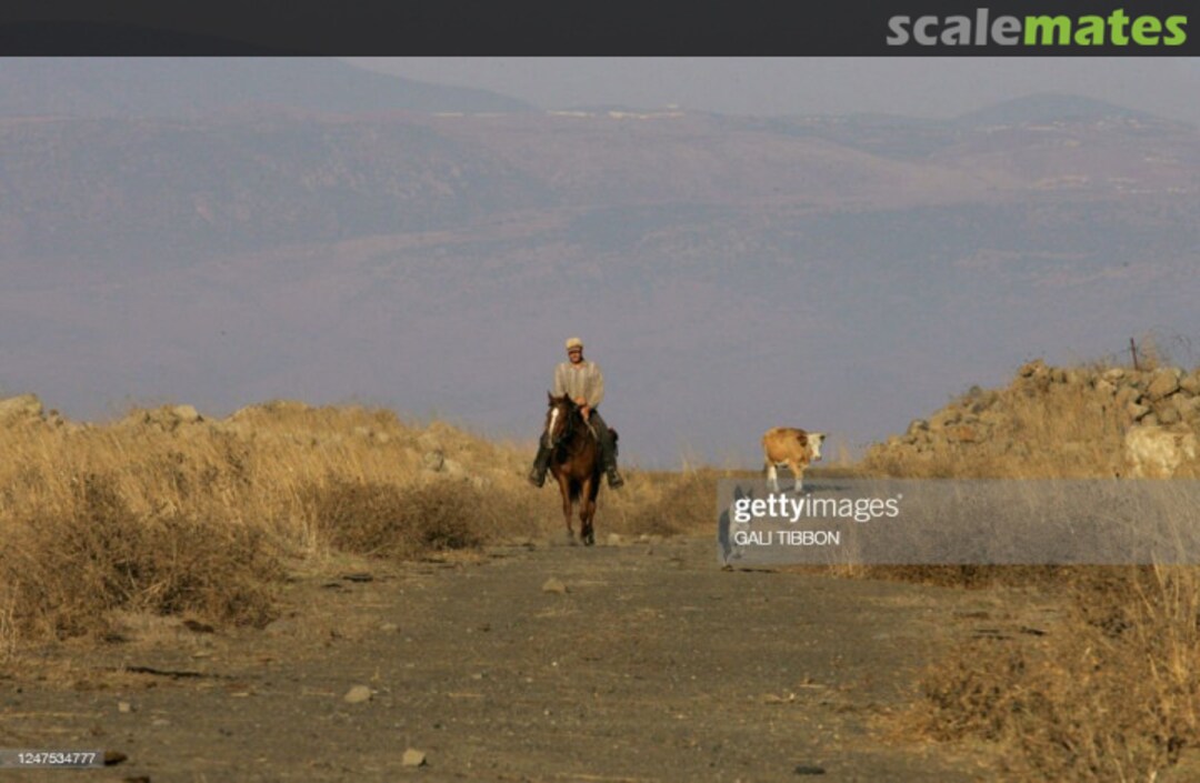 View album, image #1 View album, image #1