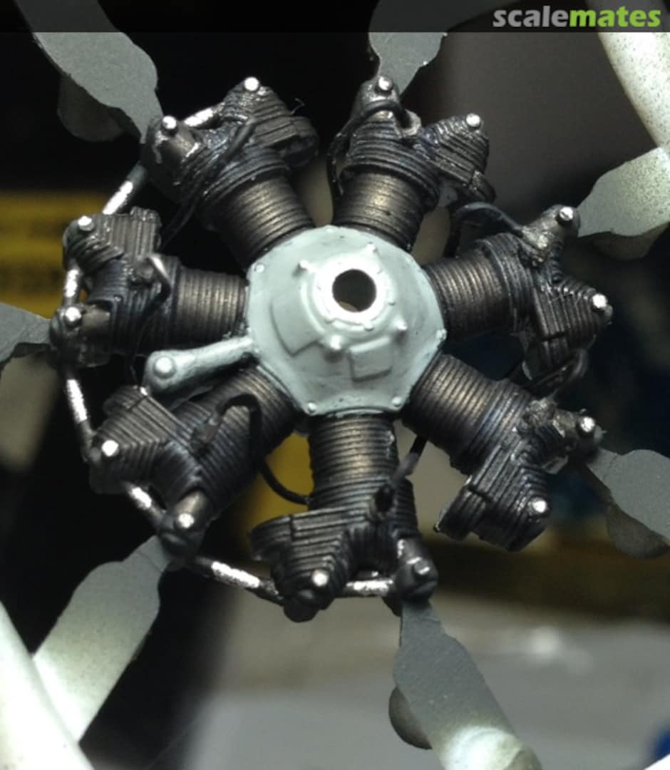 View album, image #1