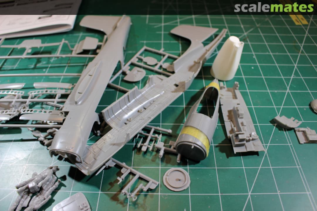 View album, image #1