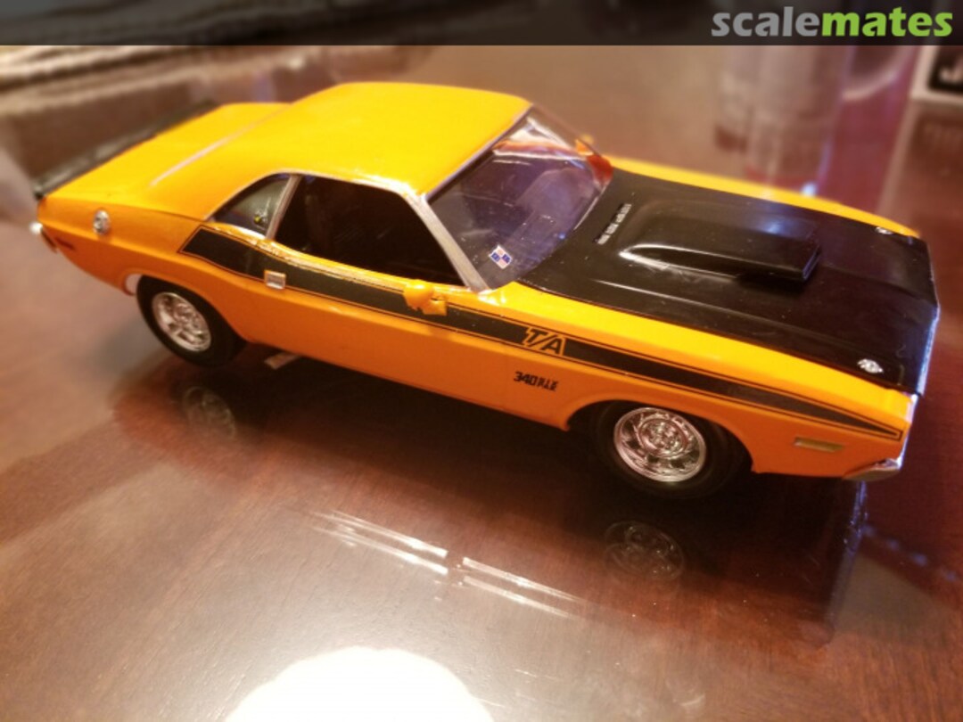 View album, image #7