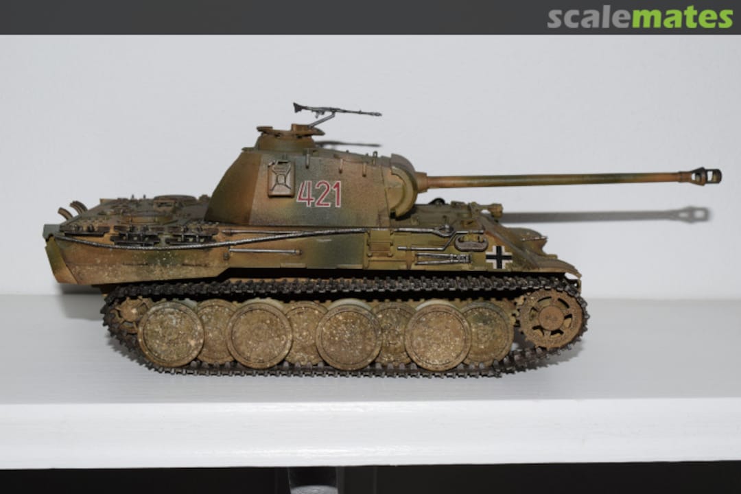 View album, image #3