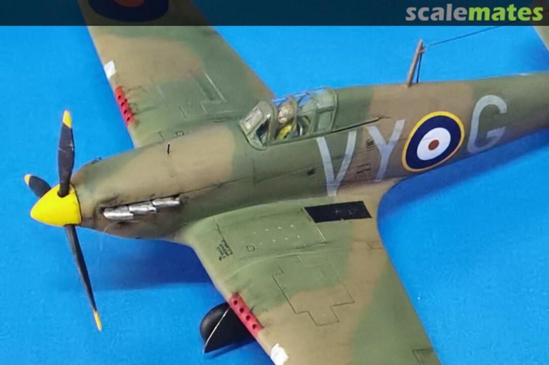 View album, image #1