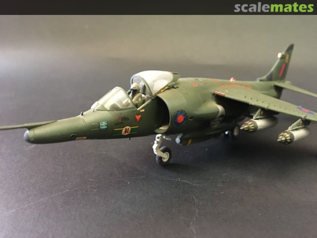 View album, image #1 View album, image #1