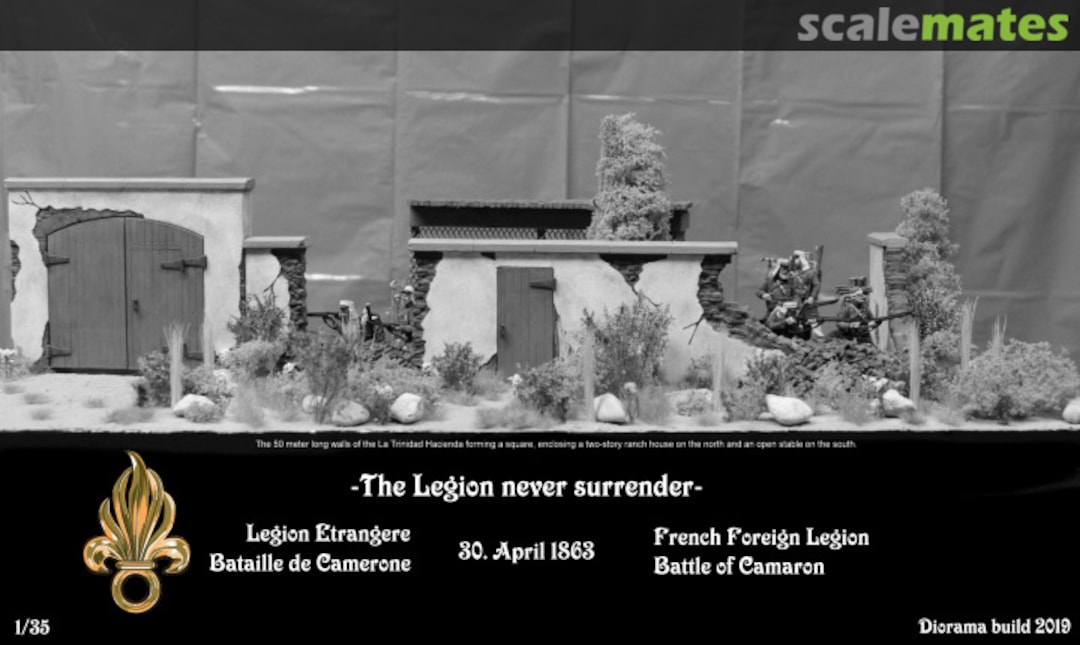 View album, image #1 View album, image #1