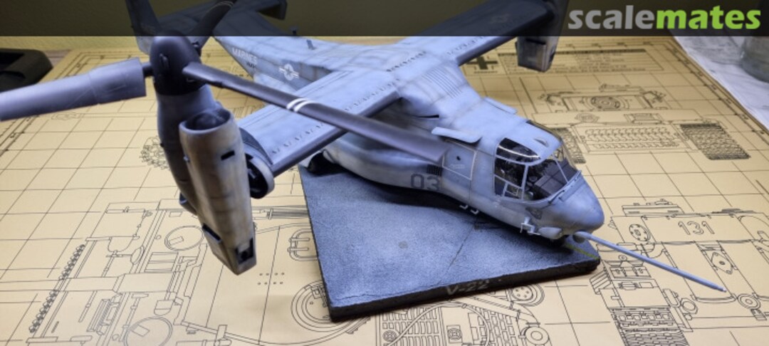 View album, image #8