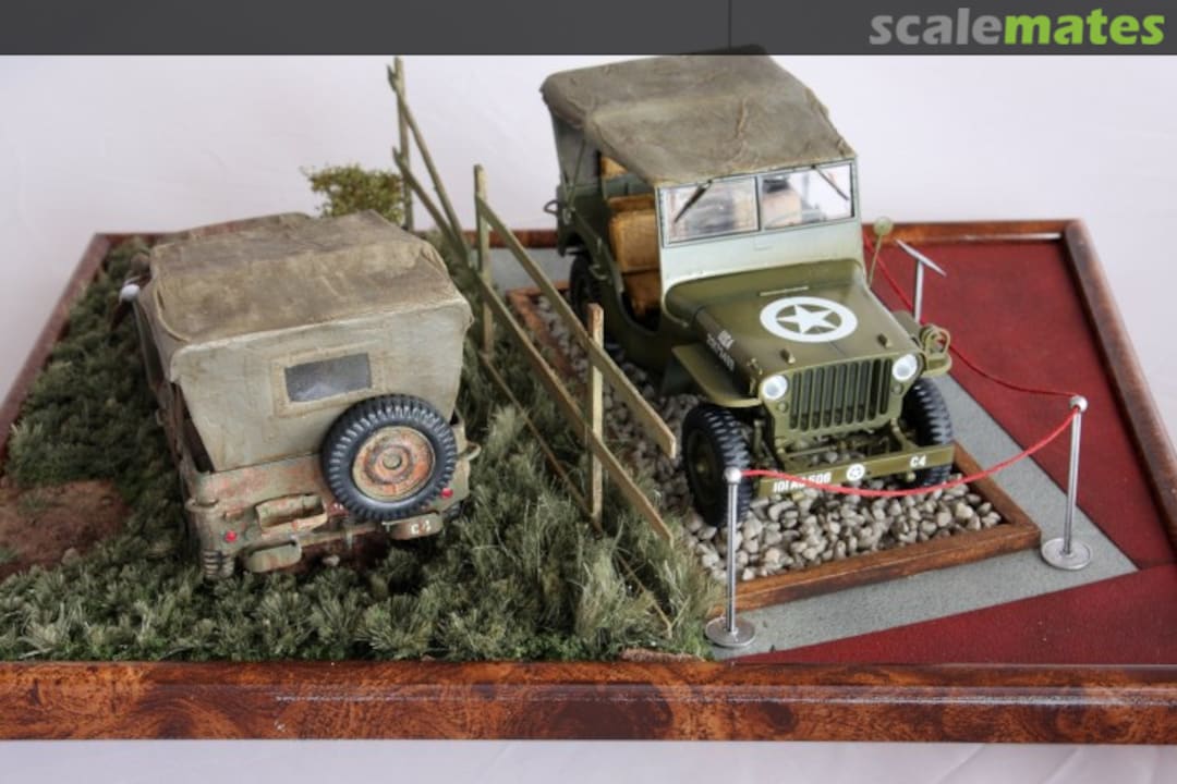 View album, image #1 View album, image #1