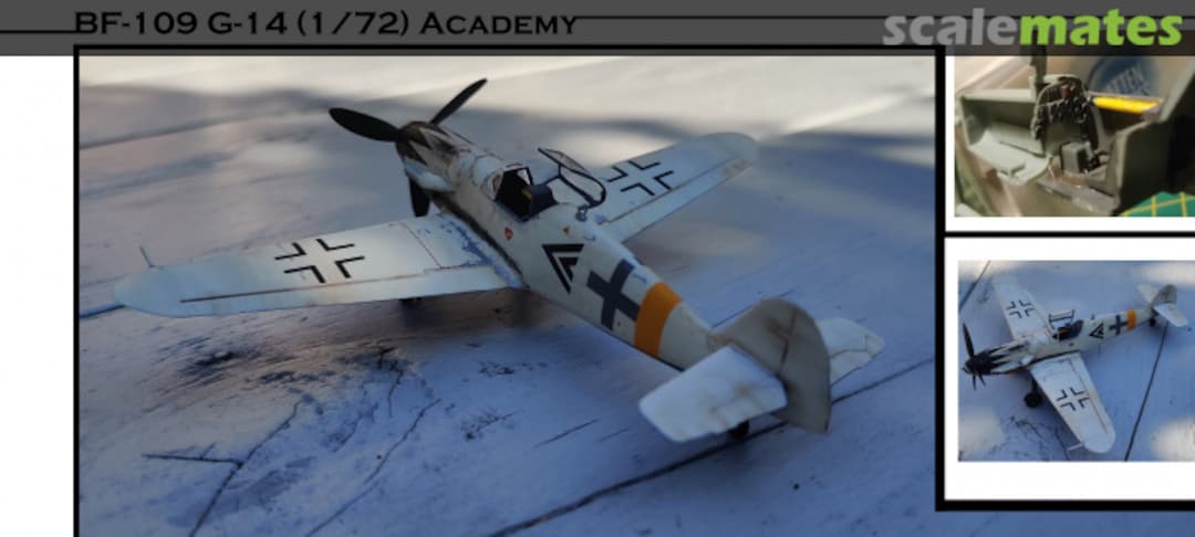 View album, image #36 View album, image #36