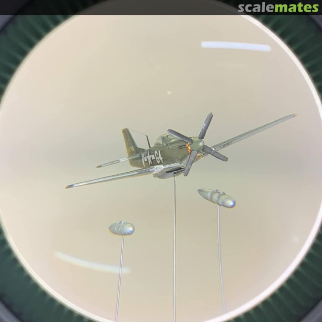 View album, image #21 View album, image #21