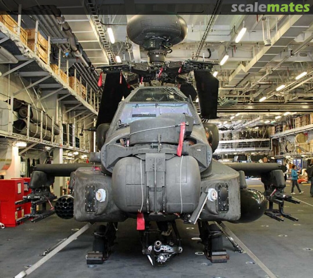 View album, image #1