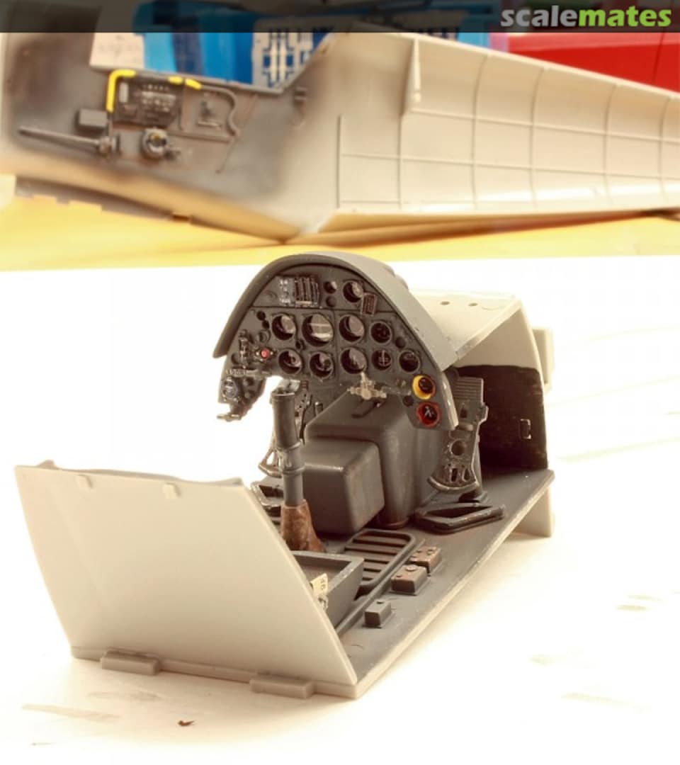 View album, image #1 View album, image #1