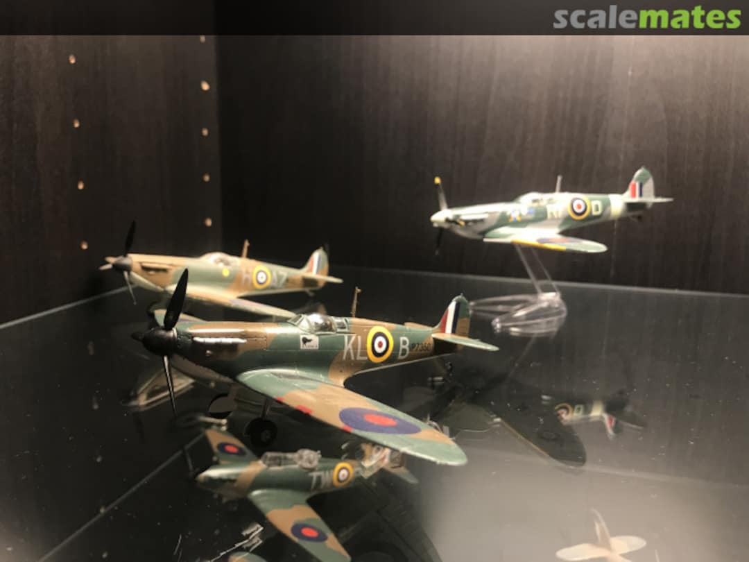 View album, image #10 View album, image #10