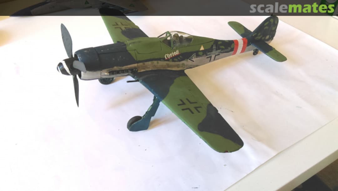 View album, image #1 View album, image #1