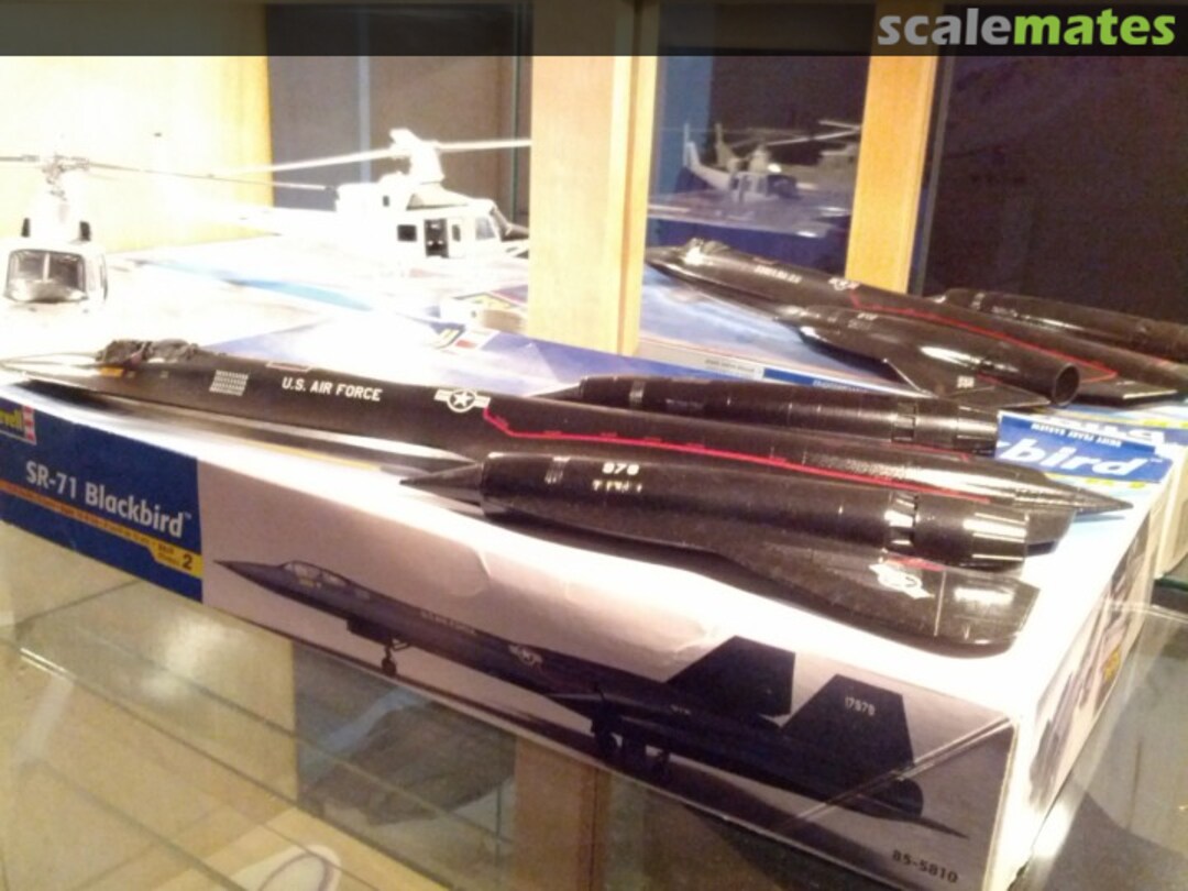 View album, image #1 View album, image #1