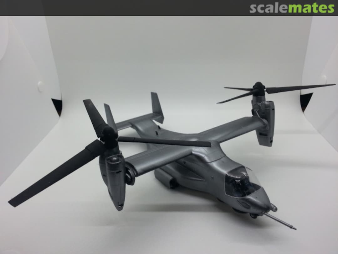 View album, image #3 View album, image #3