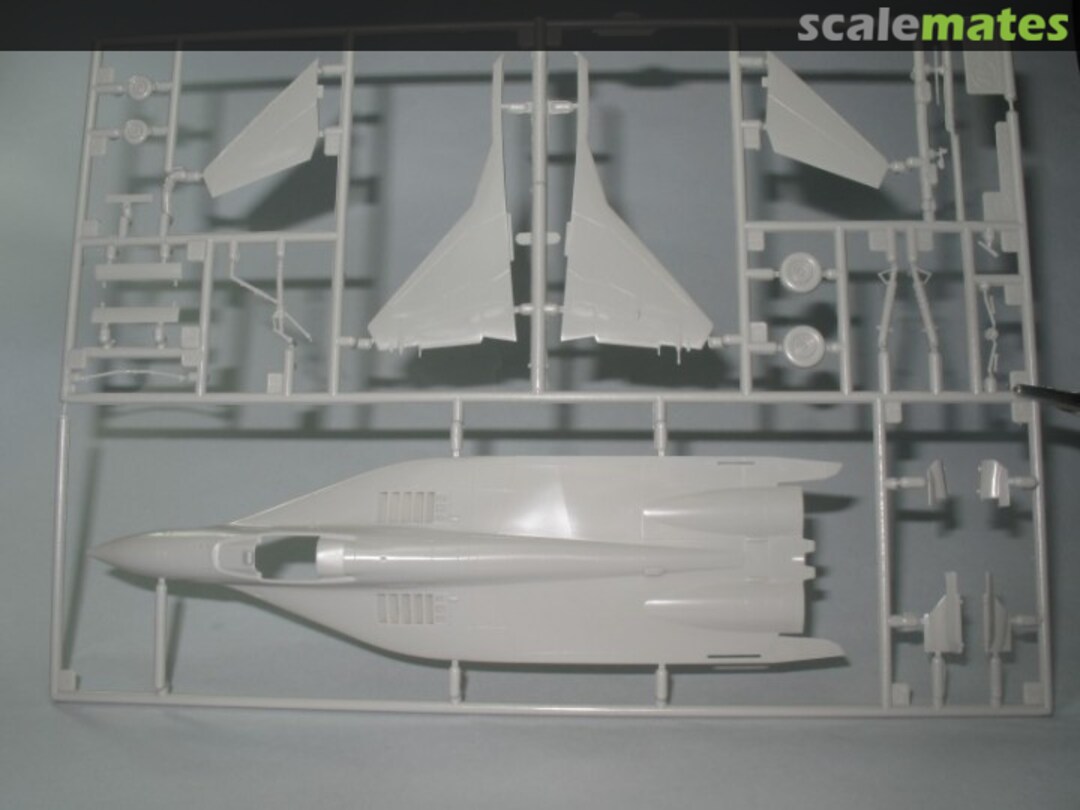 View album, image #1