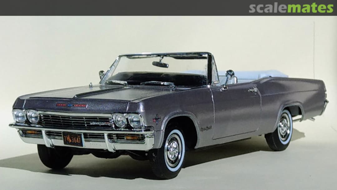 View album, image #1 View album, image #1