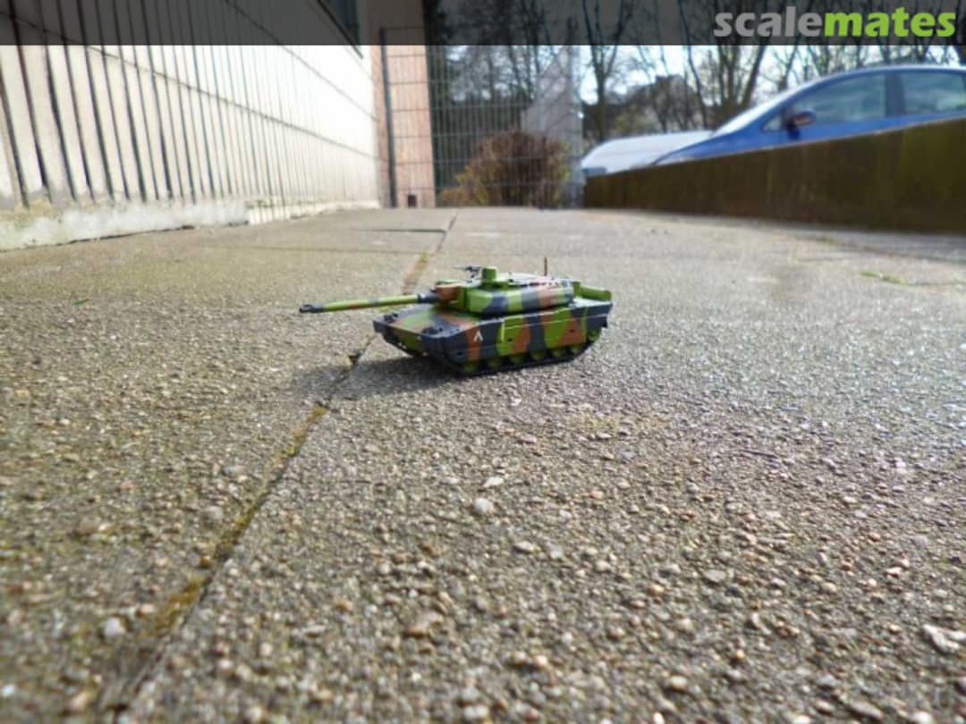 View album, image #1 View album, image #1