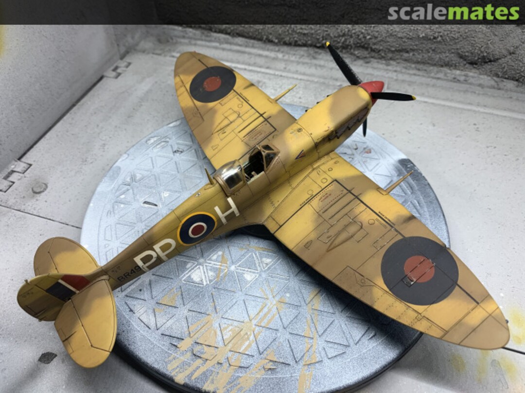 View album, image #16 View album, image #16