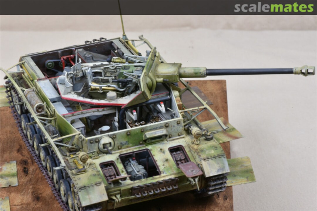 View album, image #19 View album, image #19