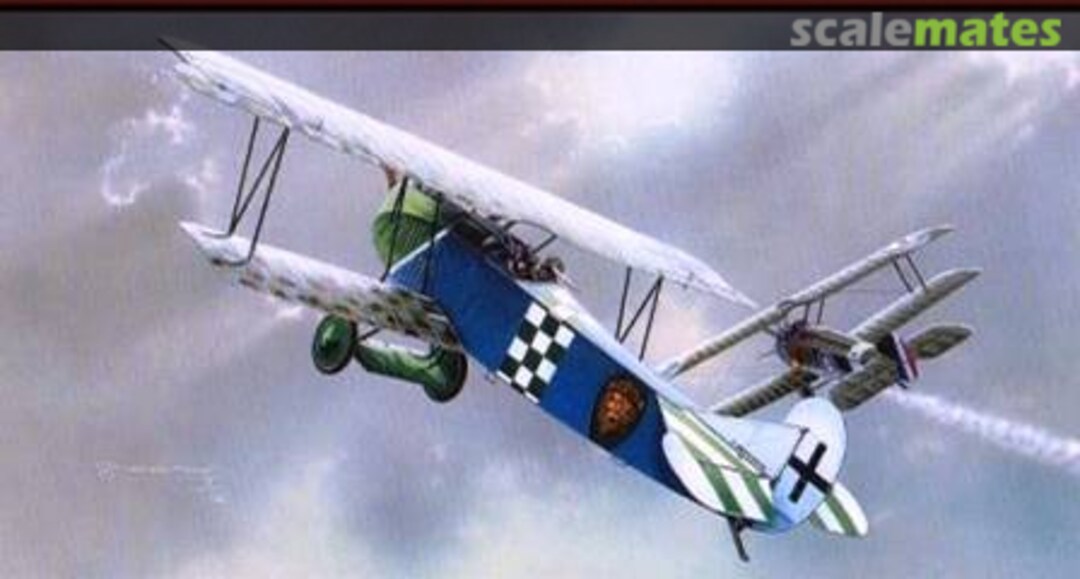 View album, image #1 View album, image #1