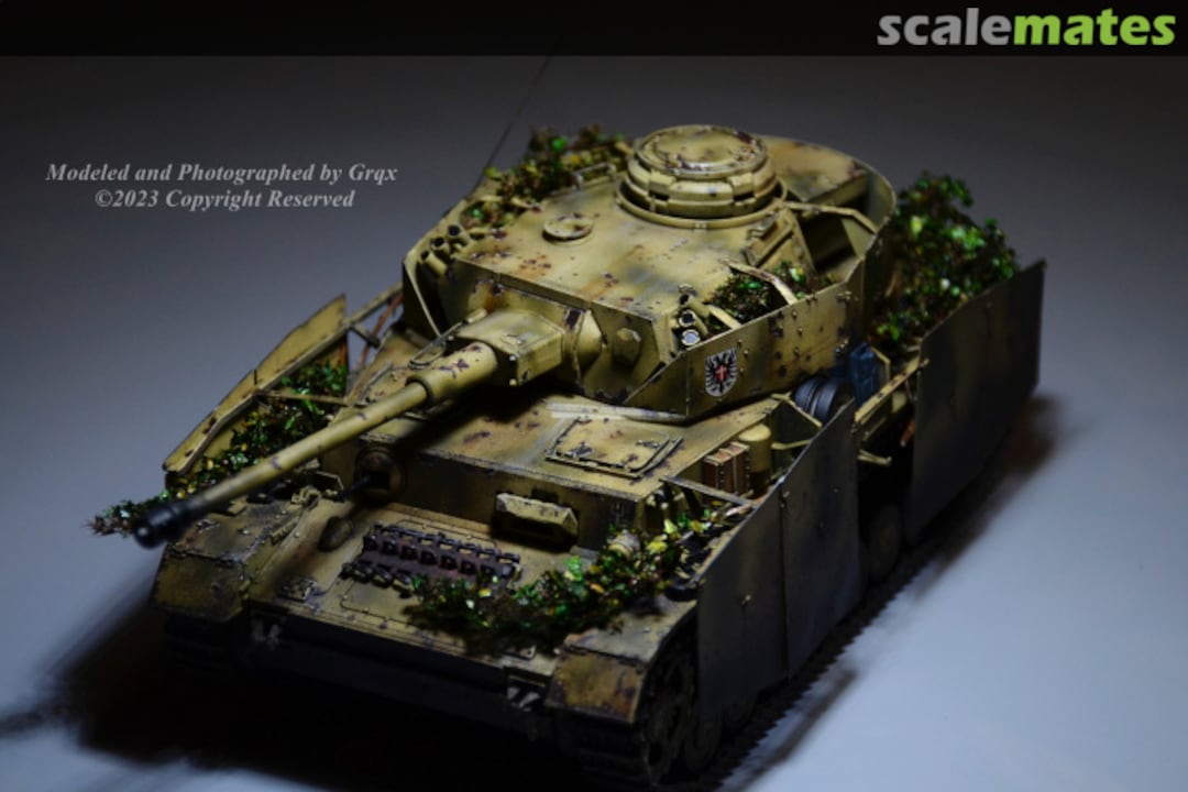 View album, image #1