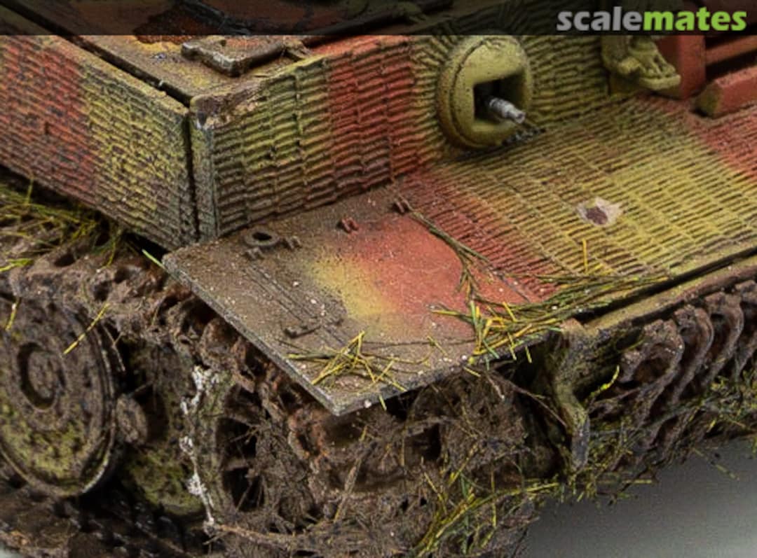 View album, image #1