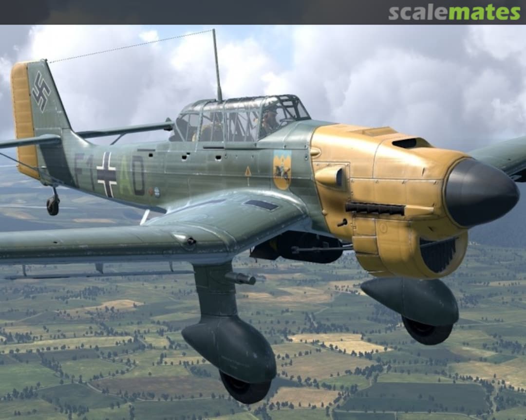 View album, image #1 View album, image #1