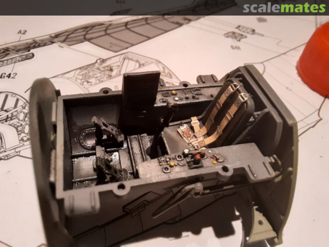 View album, image #1 View album, image #1