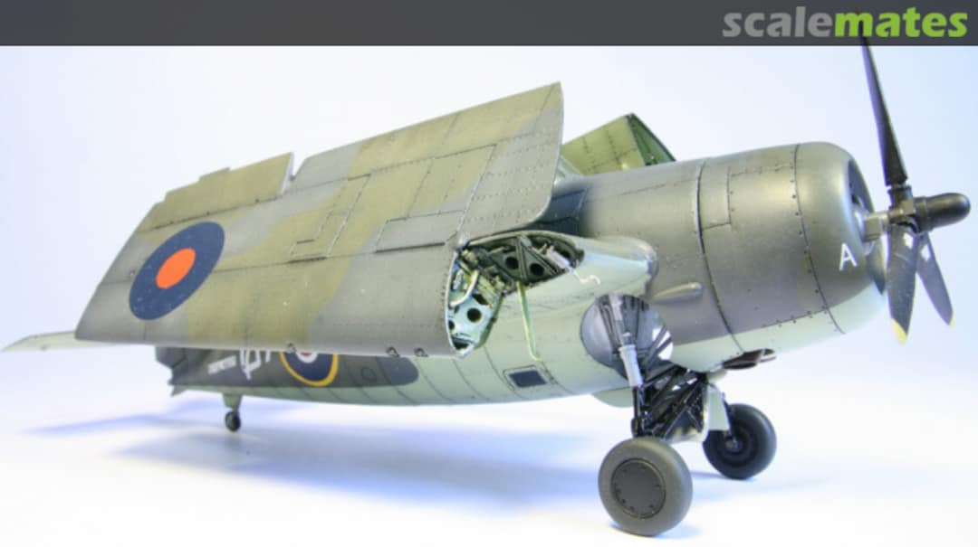 View album, image #1 View album, image #1