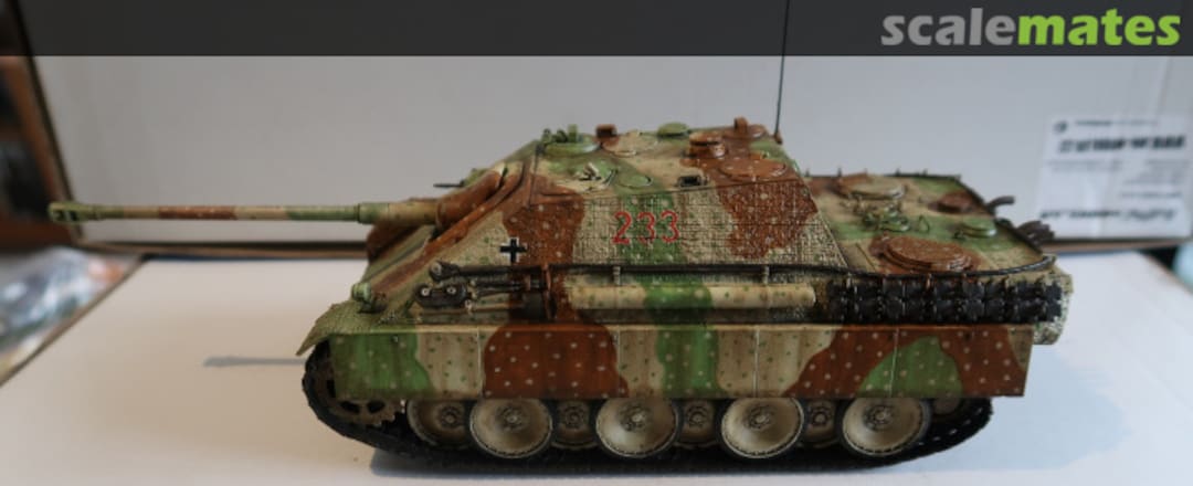 View album, image #1 View album, image #1