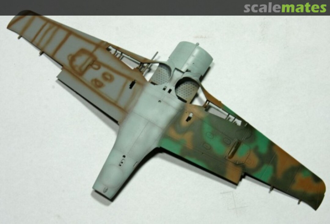 View album, image #1