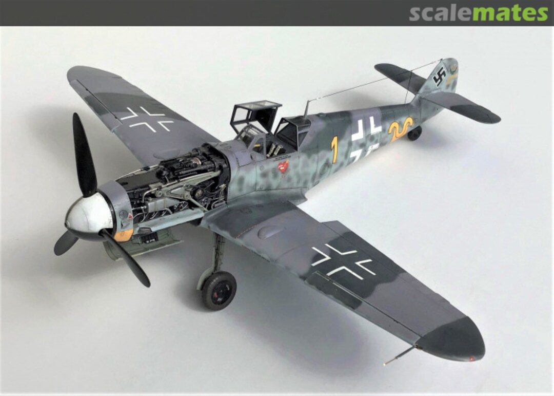 View album, image #1 View album, image #1